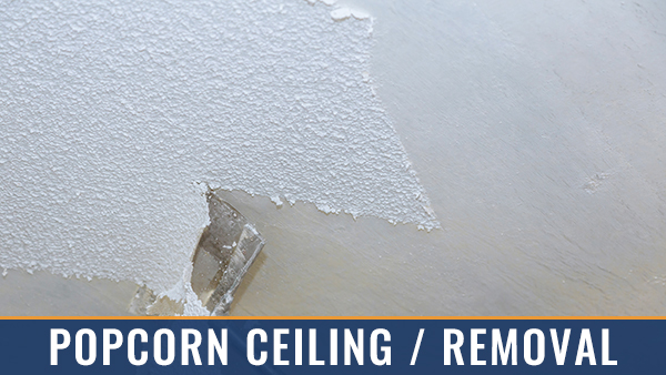 Popcorn Ceiling / Removal